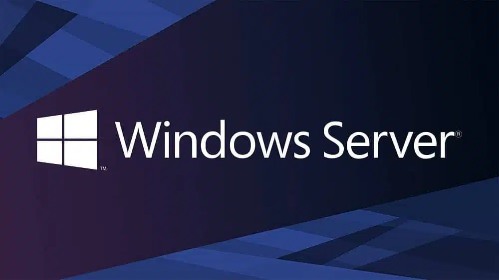 Windows Server 2022 / 2025