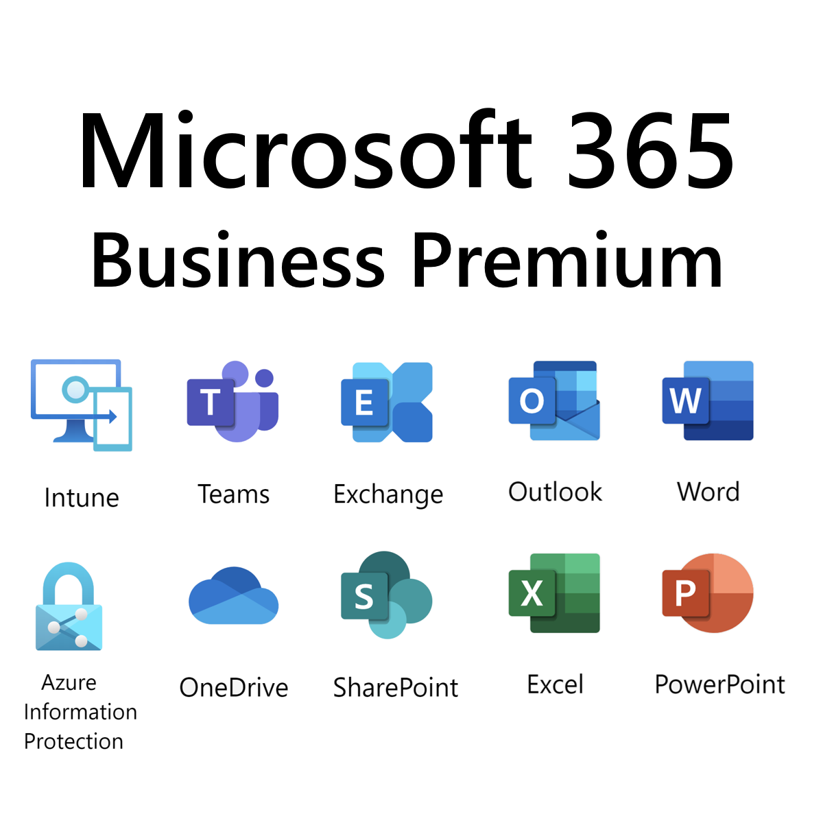 Microsoft 365 Business Premium màn hình