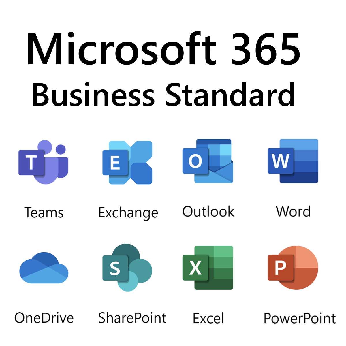 Microsoft 365 Business Standard màn hình